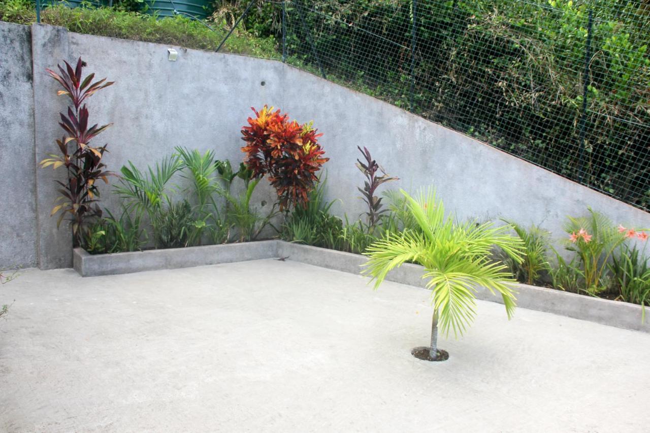 Exotic Guest House Anse Volbert Village  Bagian luar foto